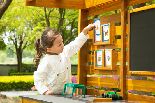 Outdoor discovery station with map set, viewing boxes, observation box, pliers, net, magnifying box and much more.