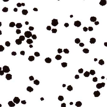 Fotokarton Tier-Fell-Leder , 300g/m², 50x70cm 10 Bg.