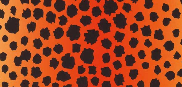 Fotokarton Tier-Fell-Leder , 300g/m², 50x70cm 10 Bg.