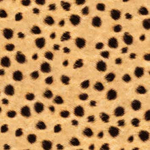 Fotokarton Tier-Fell-Leder , 300g/m², 50x70cm 10 Bg.