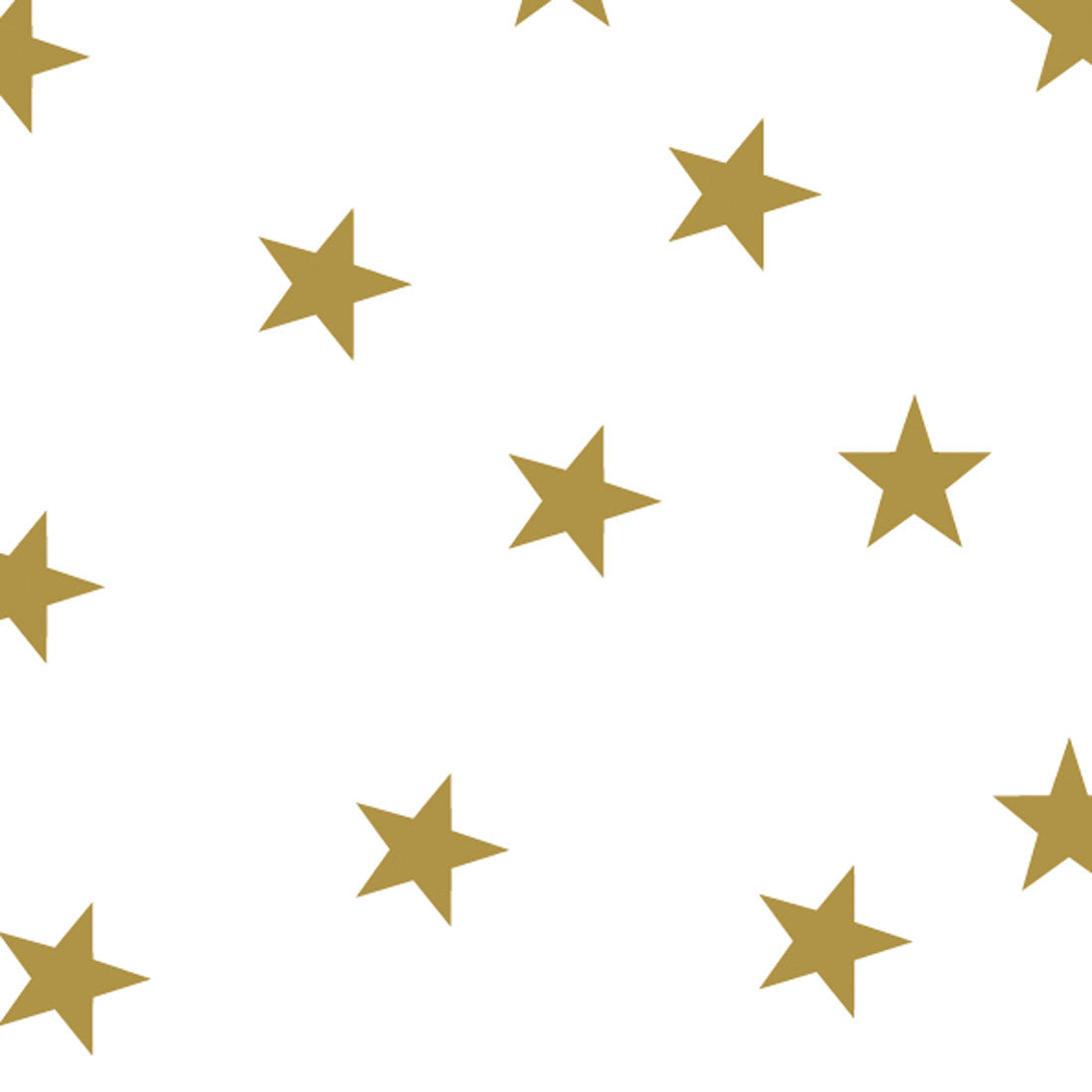 Fotokarton mit Sternen 50 x 70 cm 300g/m² 10 Bg. je Farbe