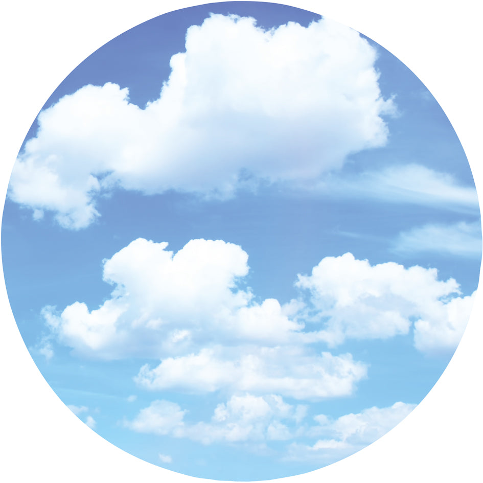 Laternenzuschnitte rund d=16,8 cm 20 Blatt