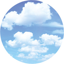 Laternenzuschnitte rund d=16,8 cm 20 Blatt