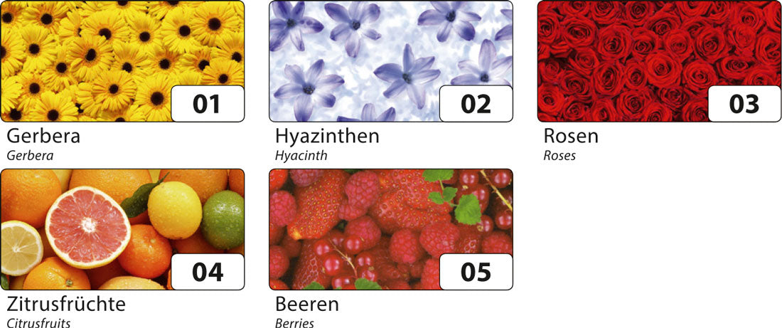 Transparentpapier FRUITS & FLOWERS 5 Rollen je Motiv 50,5x70 cm
