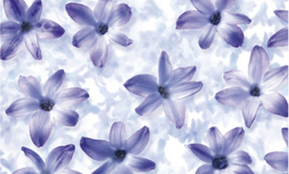 Transparentpapier FRUITS & FLOWERS 5 Rollen je Motiv 50,5x70 cm