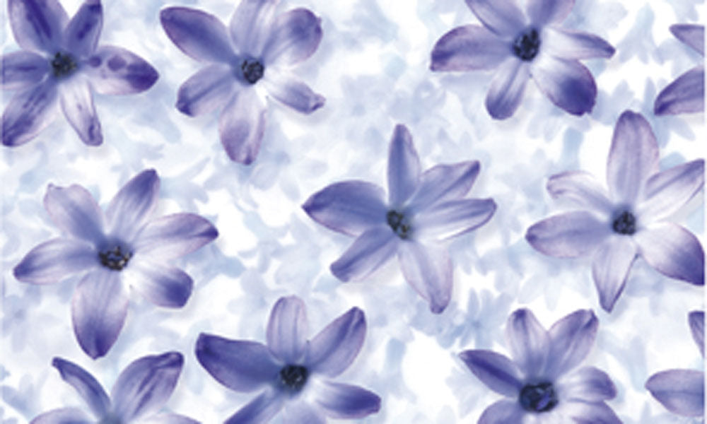 Transparentpapier FRUITS & FLOWERS 10 Bogen 50,5x70 cm