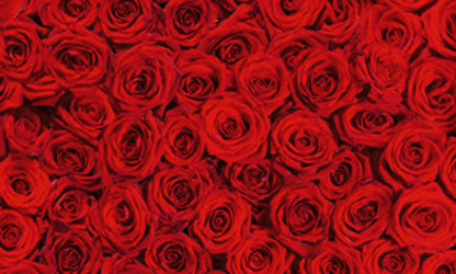 Transparentpapier FRUITS & FLOWERS 5 Rollen je Motiv 50,5x70 cm