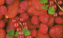 Transparentpapier FRUITS & FLOWERS 10 Bogen 50,5x70 cm