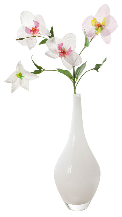 Transparentpapier 5 Rollen, 50,5x70cm je Bogen versch. Farben