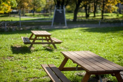 Tisch- und Bankkombination Lärche SH 30 cm