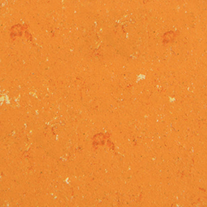 Regal für Schulranzen 75 cm breit für ca. 4 Trolleys