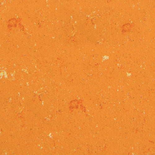 Regal für Schulranzen 110 cm breit für ca. 6 Trollys