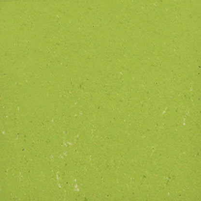 Regal für Schulranzen 145 cm breit für ca. 8 Trollys