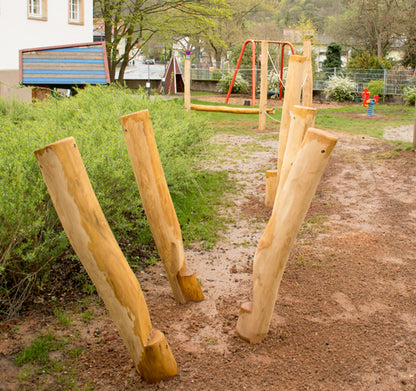 Kletter- und Balancierlandschaft Robinie