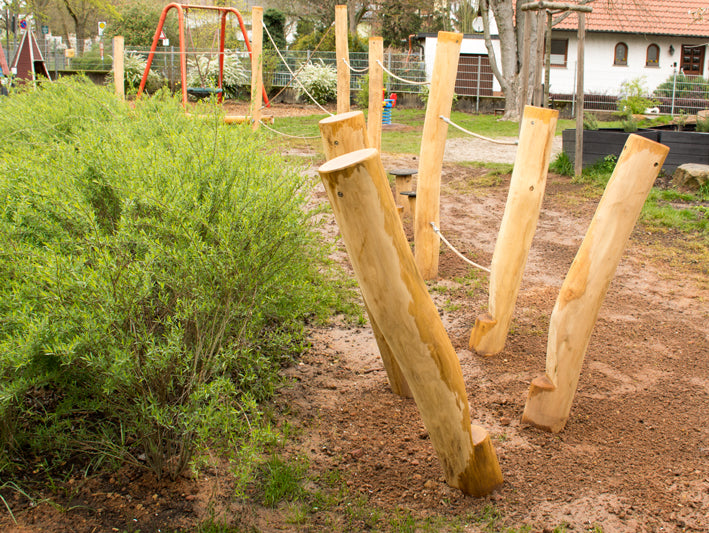 Kletter- und Balancierlandschaft Robinie