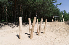 Kletter- und Balancierlandschaft Robinie