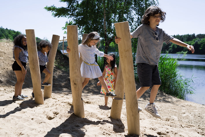 Kletter- und Balancierlandschaft Robinie