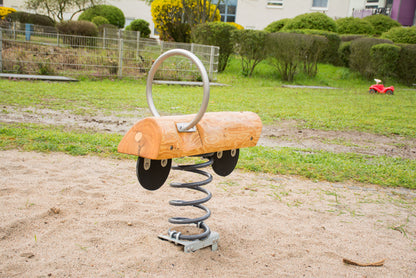 Federwippe Robinie Auto